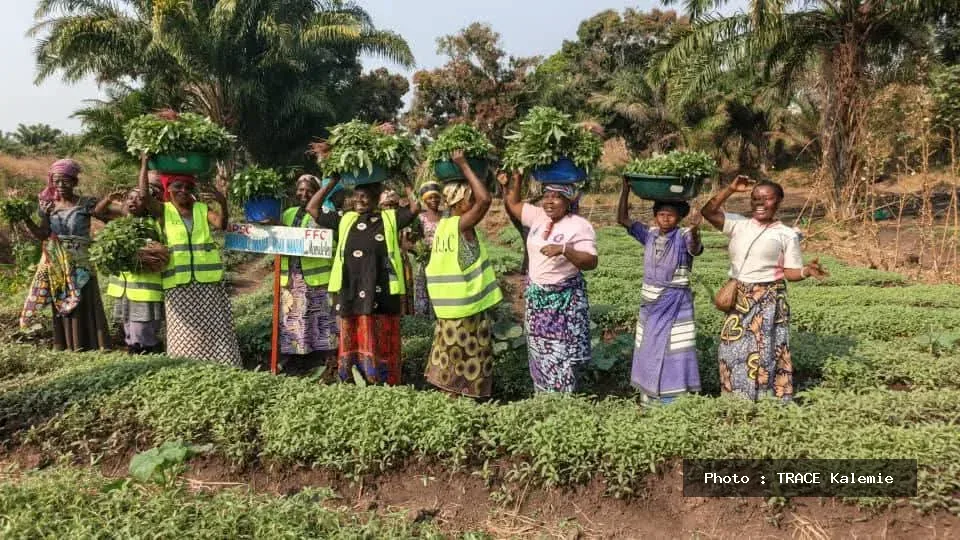 Des femmes déplacées récoltent des légumes dans un jardin maraîcher du projet Mwanamke Imara, Jamii Imara à Kalemie.